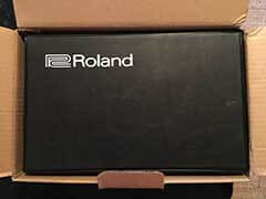 Roland PG-200