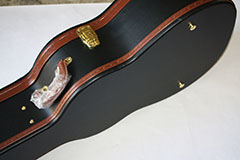 Epiphone Dove Ghost Acoustic Midi Kit