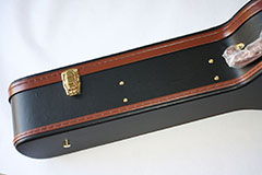 Epiphone Dove Ghost Acoustic Midi Kit