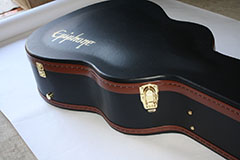 Epiphone Dove Ghost Acoustic Midi Kit